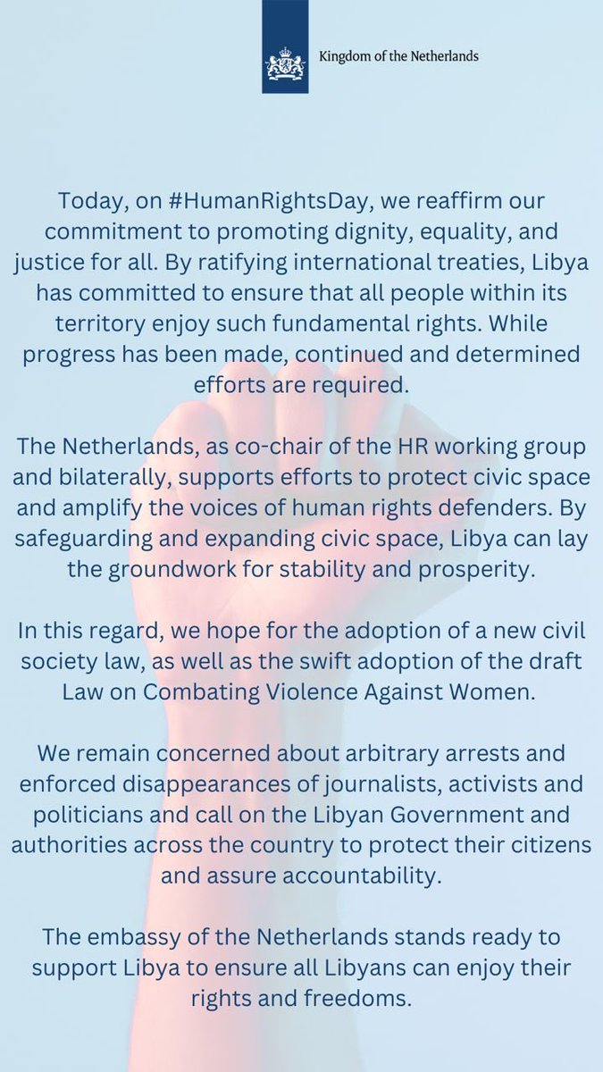 NLambLib's tweet image. Statement on #HumanRightsDay 2024👇🇳🇱🇱🇾