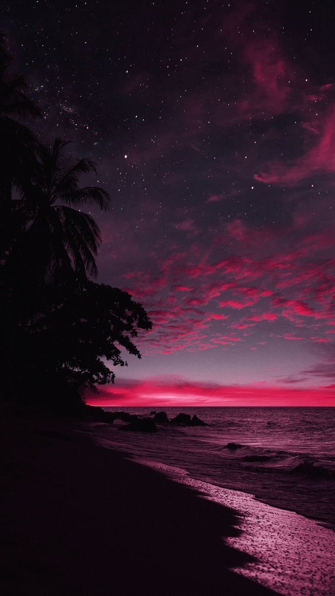 Aesthetics tweet media