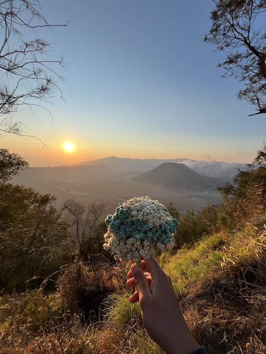 fajarstheboy's tweet photo. Bromo,edelweiss dan kamu enggak ada bedanya 
Sama-sama indah mempesona membuat diri ini terpana.. https://t.co/zIsLQOfVjA