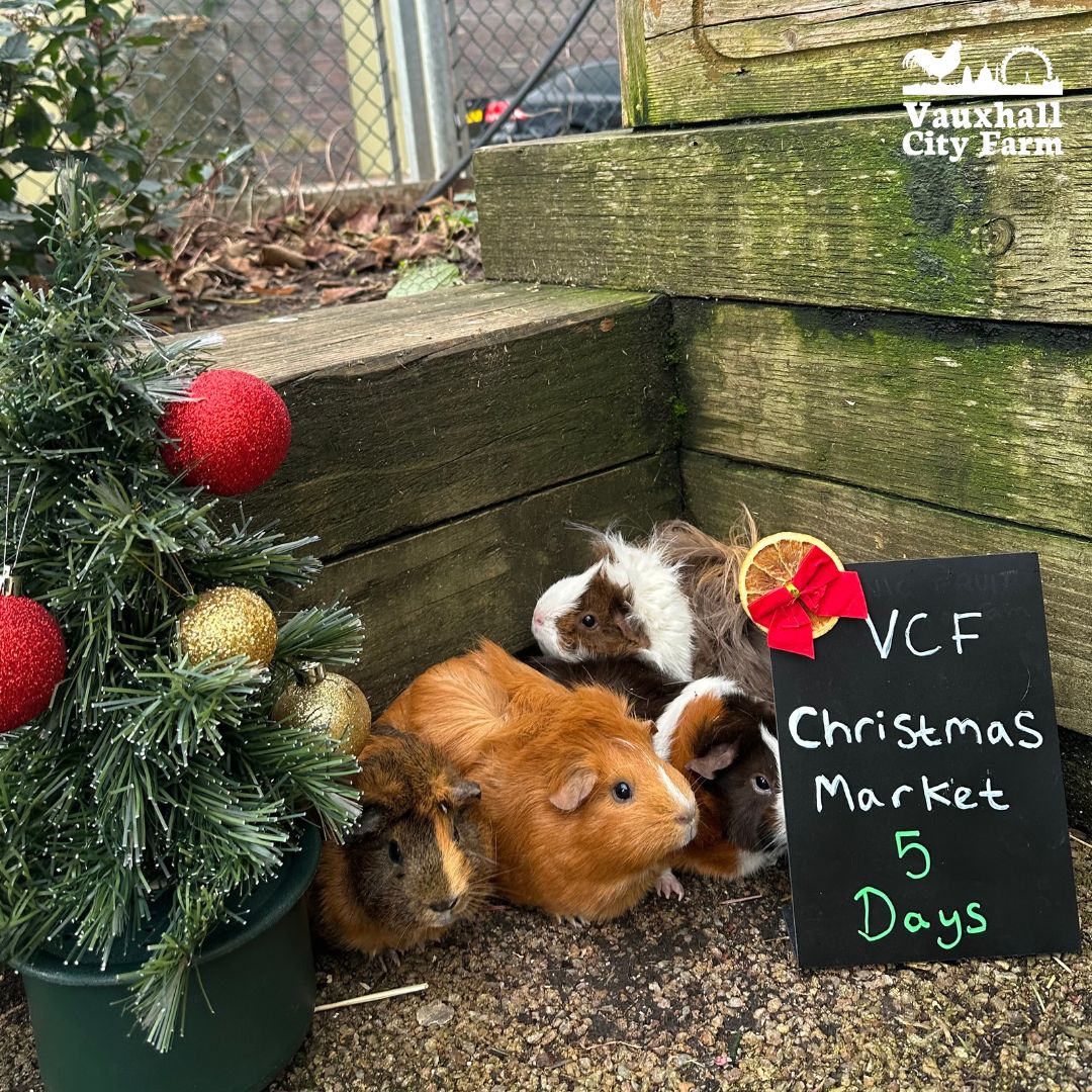 ⭐ Christmas Market⭐ Saturday 14th &amp; Sunday 15th December. A multitude of fantastic stall holders have the perfect gift selection, plus carol singers, mulled wine and festive food a'plenty, and enjoy our mesmerising Winter Light Trail.

Full details vauxhallcityfarm.org/events/christm…