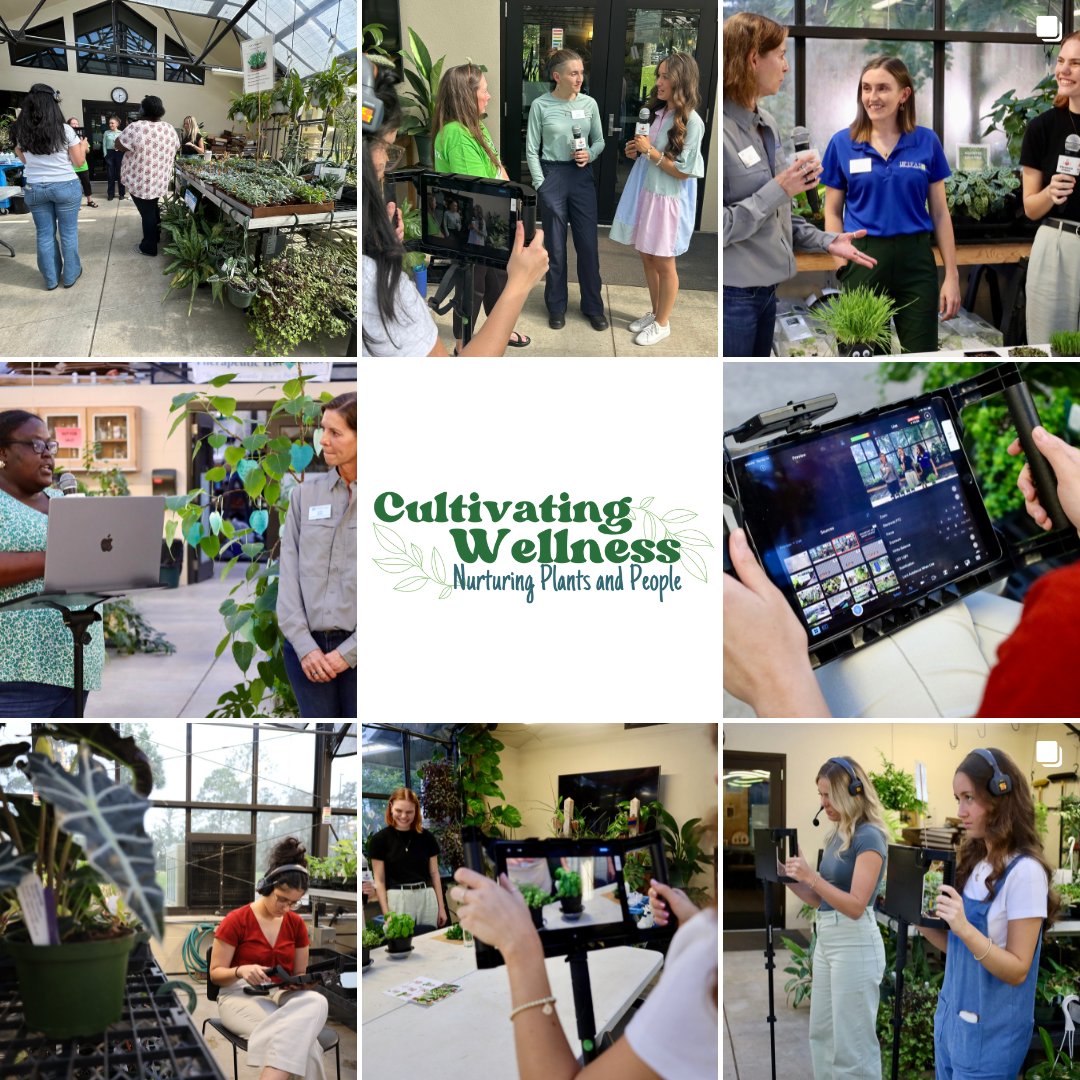 Streaming_Sci's tweet photo. 🌱Wrapping Up: Cultivating Wellness Electronic Field Trip!
📍23 sites joined us from across FL, MA, PA, &amp; CA.
📚Our @UFAEC grad students partnered w/ @WilmotGardens to introduce youth to horticultural therapy.
🎥 Catch the recordings here: https://t.co/0cc3rBi2b4 https://t.co/pD2Rccuohw