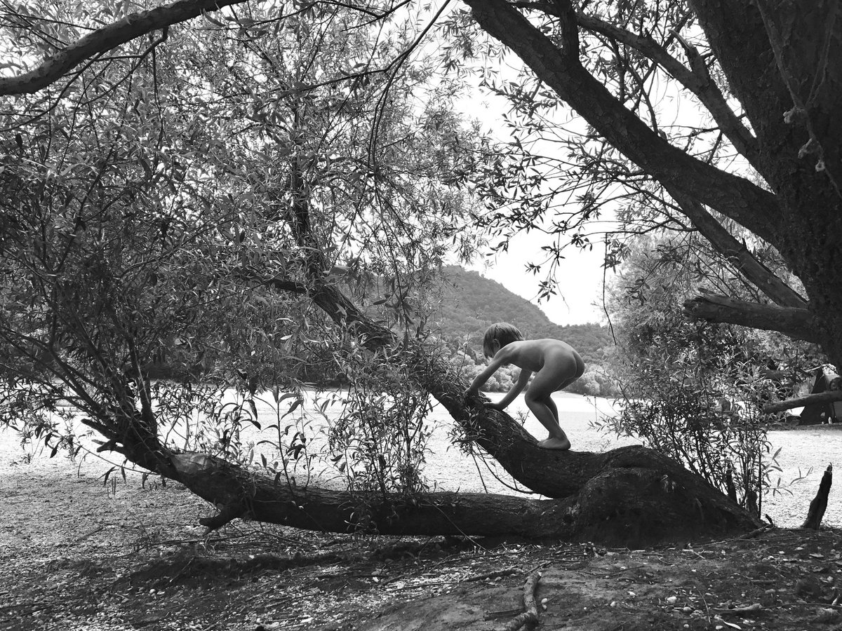 Up only, in spirit 🤍🪽