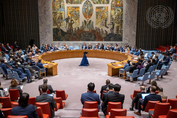 Respecting &amp; protecting #HumanRights is essential for international peace &amp; security. It prevents conflicts, fosters stability, &amp; paves the way for a safer 🌍 grounded in accountability.

🇩🇰 will stand up for intl. human rights law during its membership of #UNSC

#HumanRightsDay