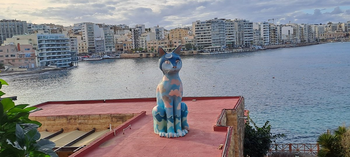 Malta,  we love cats !! 🐈  :)
