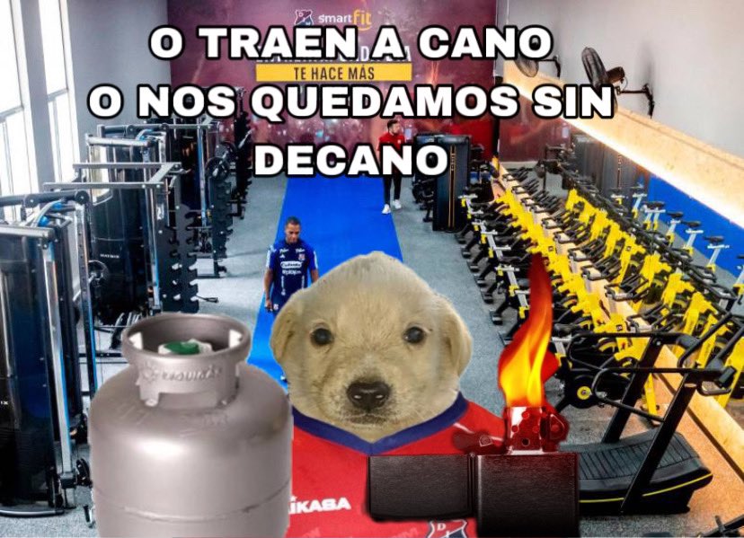 Blad_Perez's tweet image. yo próximamente en la sede del @DIM_Oficial