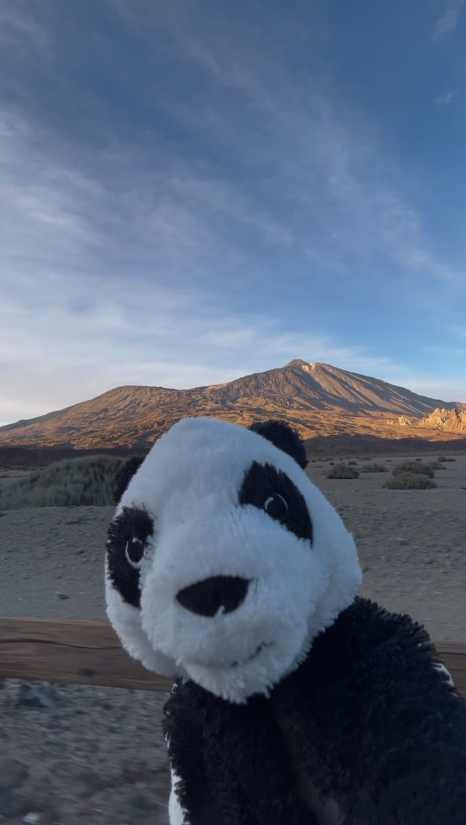 dovipanda's tweet photo. Selfie de la escapada de ayer en la preciosidad del Teide.
#bobiturista #visitandomundo #naturaleza #desconexion https://t.co/3eORvZ5tKX