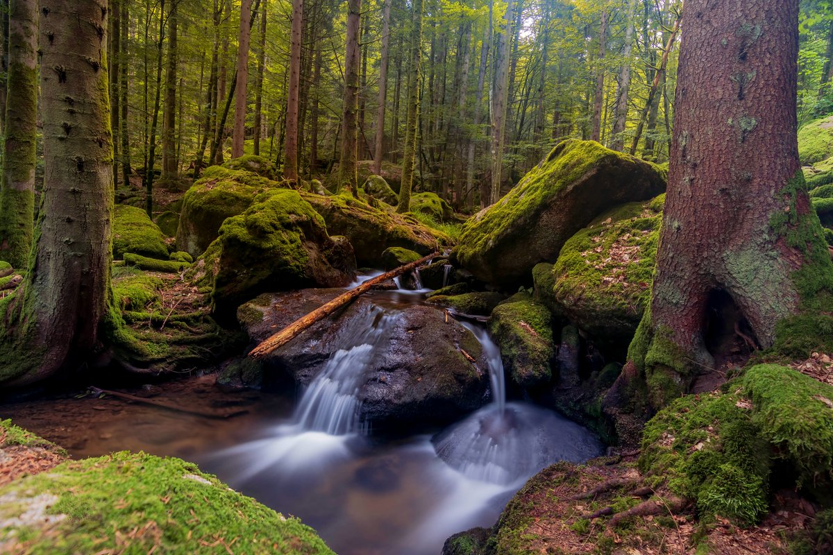 Gertelbach Wasserfälle #canon #canondeutschland #rollei #rolleindfilter #nature #naturephotography #wasserfall #wasserfälle #blackforrest #schwarzwald #bühlertal #waterfall #waterfalls #forrest #schwarzwald #schwarzwaldliebe