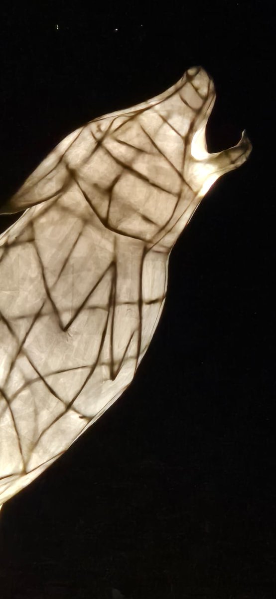 TLHlanterns's tweet photo. Close ups of a few of our lanterns at Leonardslee Lights 2024. A wonderful illuminated trail in a magnificent setting.
@leonardsleegardens
#leonardsleelights2024 https://t.co/zIjLtm3KtY