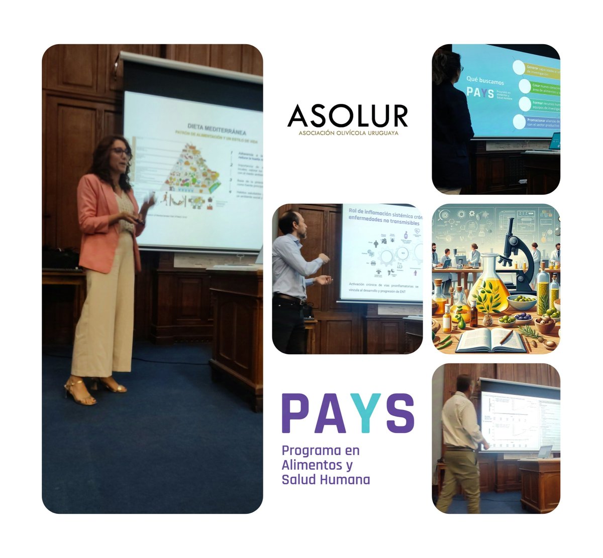 PAySUy's tweet photo. 📢 Hoy tuvimos el taller de 🫒 🩺 "Consumo de aceite de oliva y su impacto en procesos salud-enfermedad" que organizamos junto con #ASOLUR https://t.co/X4EeZlMGY6
