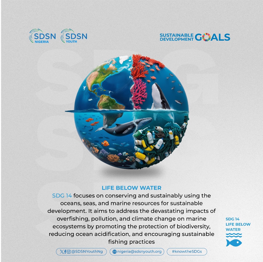 SDSNYouthNG's tweet photo. Our oceans are vital for the planet's health and sustainability. SDG 14 focuses on conserving and sustainably using marine resources to combat overfishing, pollution, and climate change.
#KnowtheSDGs https://t.co/kcal2Eou38