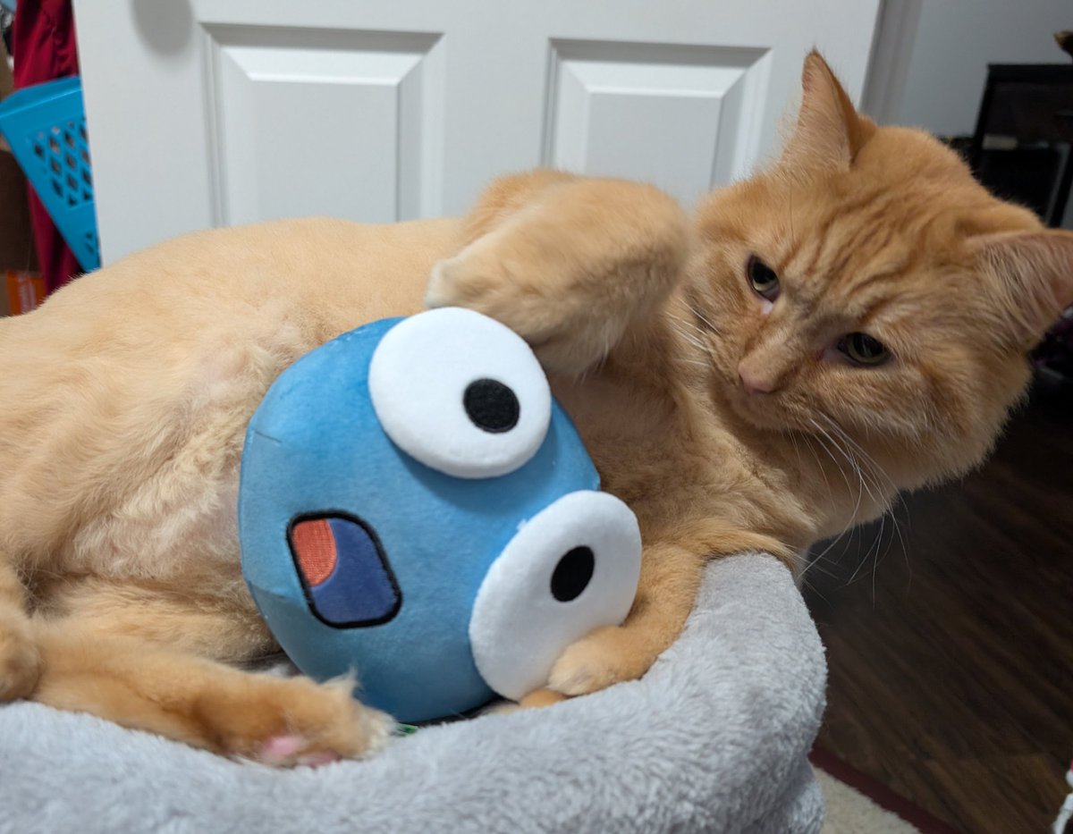 WereGinge's tweet image. Plushie has been acquired and inspected by the pawthorities @InsymTtv