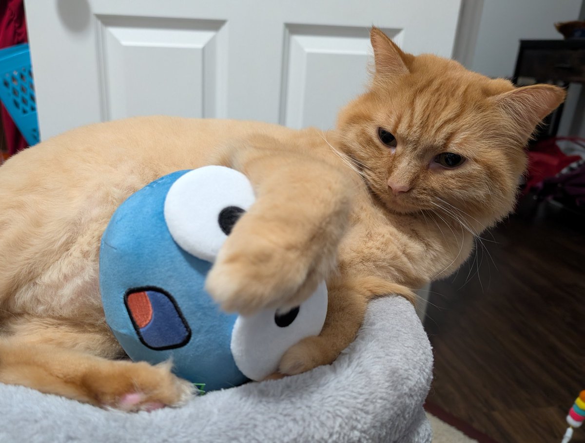 WereGinge's tweet image. Plushie has been acquired and inspected by the pawthorities @InsymTtv