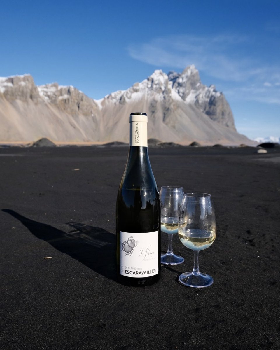 Bring a taste of the Côtes du Rhône Home for the Holidays! 🏠🍷

There’s no better time to share a bottle of your favorite Côtes du Rhône wine than the holiday season! 🎁❆ Crafted with a passion for winemaking tradition infused in every bottle, Côtes du Rhône wines are the