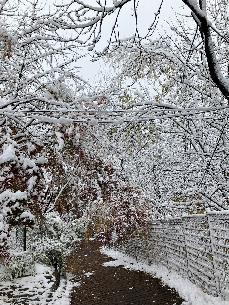 후후후후후훙 (@loststar971) on Twitter photo 