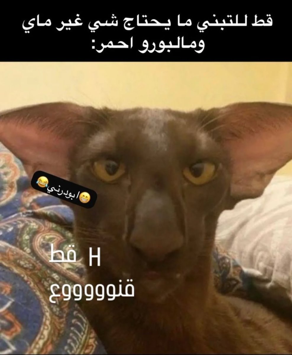 منو يتبناه