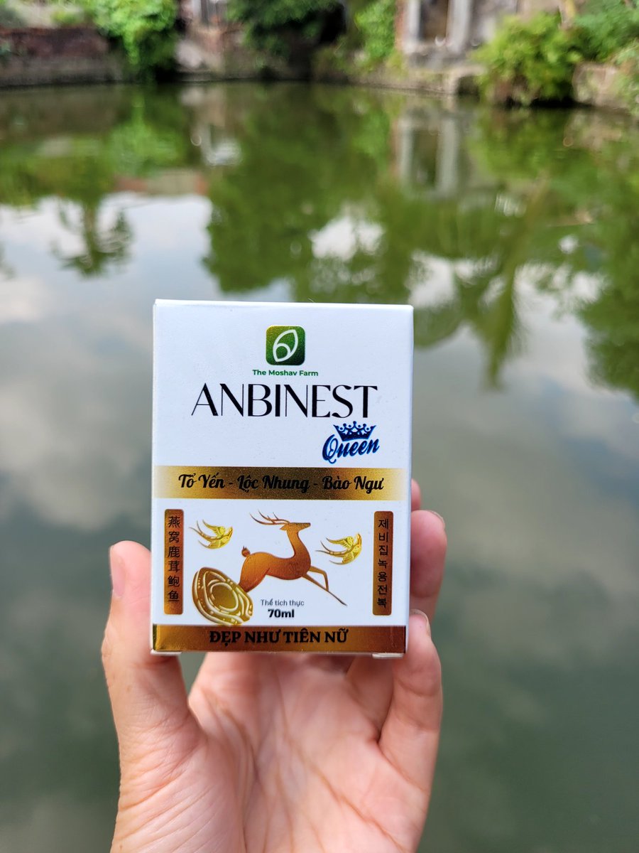 Miền bắc mấy nay có không khí lạnh mạnh về nên tui toàn phải bỏ bữa sáng vì dậy muộn, rồi đám gà kêu loạc quạc ngoài vườn thôi thúc phải cho chúng nó ra ngoài đón bình minh nên chẳng còn thời gian và tâm trí đâu mà ngồi ăn cái gì nữa, chỉ kịp vơ tạm hũ yến