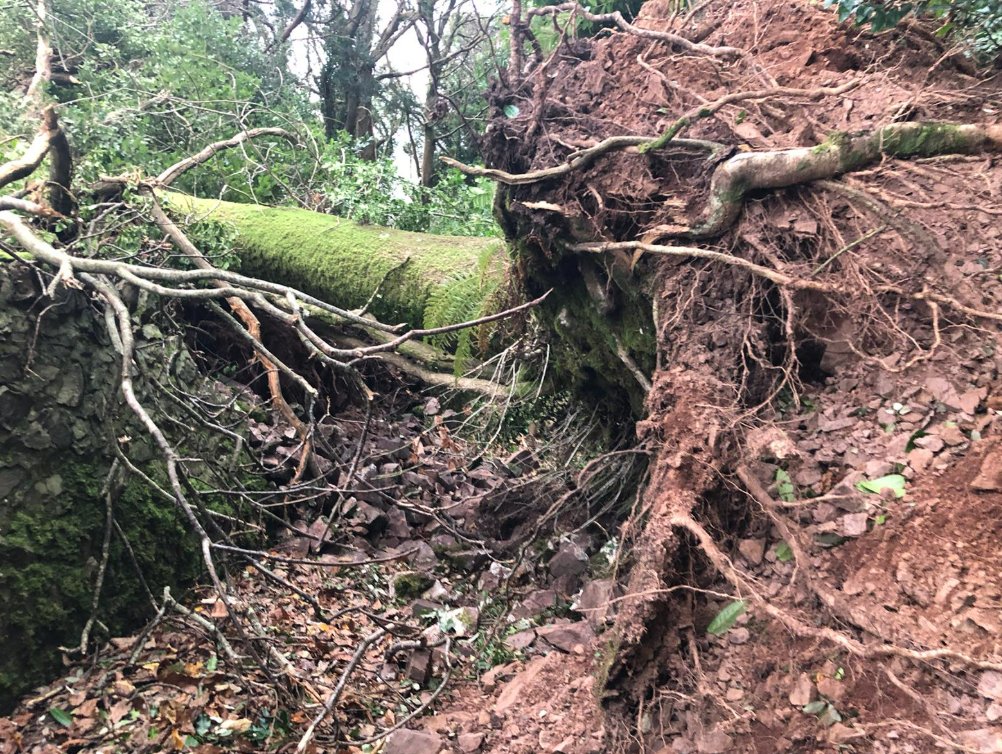 1/3 Our rangers and field services team are out working hard, checking and clearing rights of way across Exmoor after damage caused by #stormdarragh

Many paths are blocked by fallen trees including...