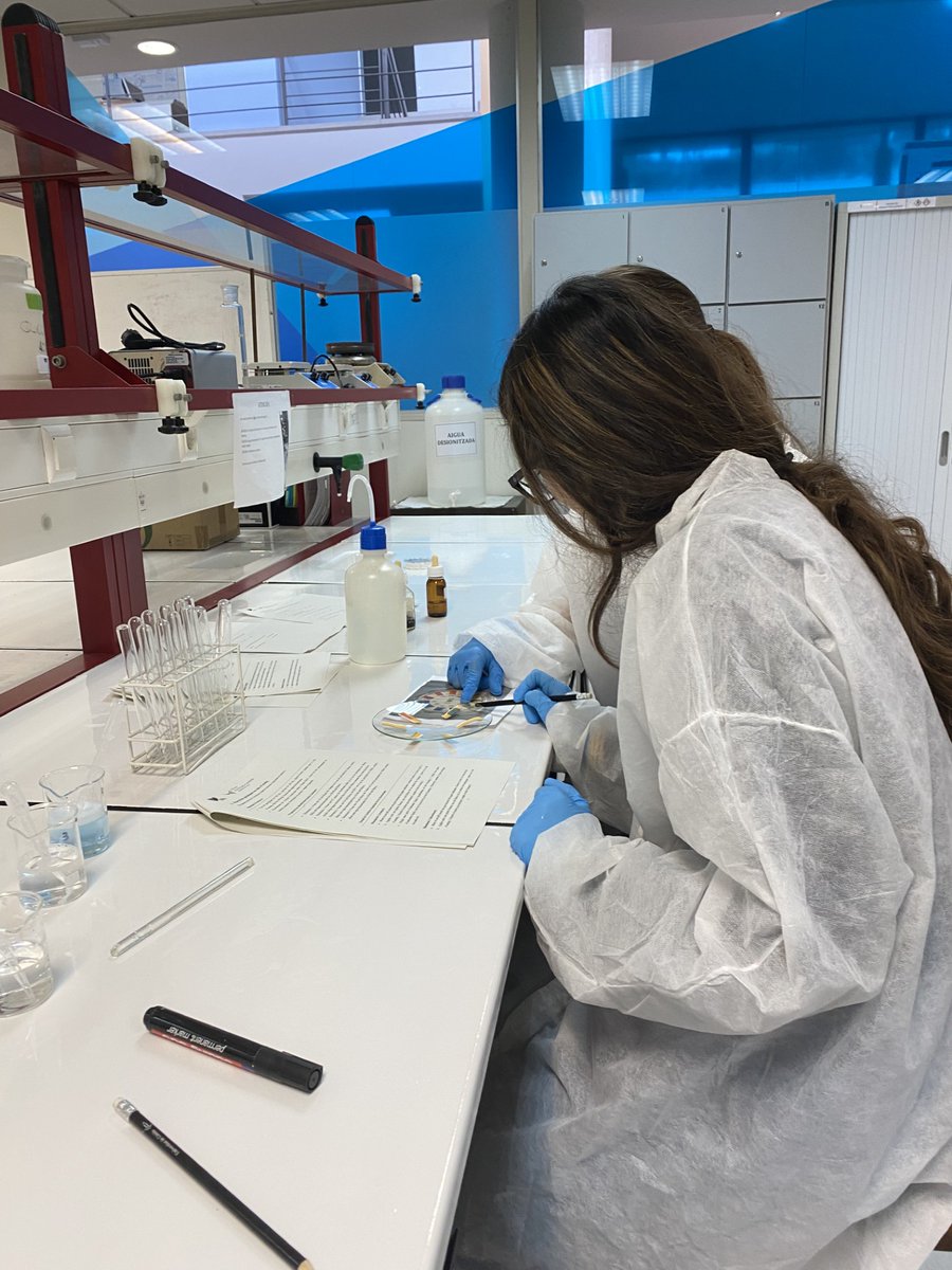 Campus Universitari Igualada-UdL tweet media