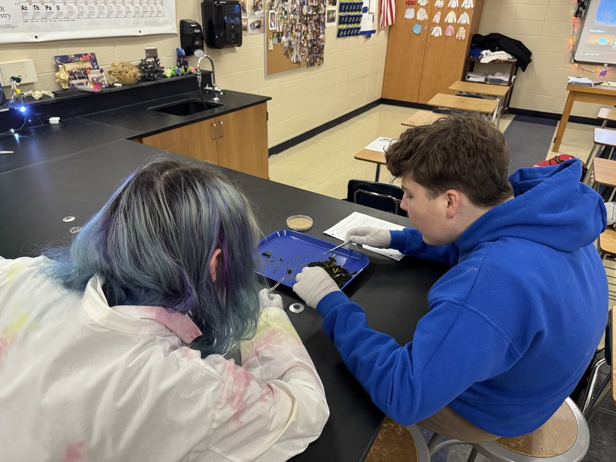 The famous poop lab! ⁦<a href="/drcrean/">Jason Crean, MS Bio, EdD</a>⁩ #authenticlearning