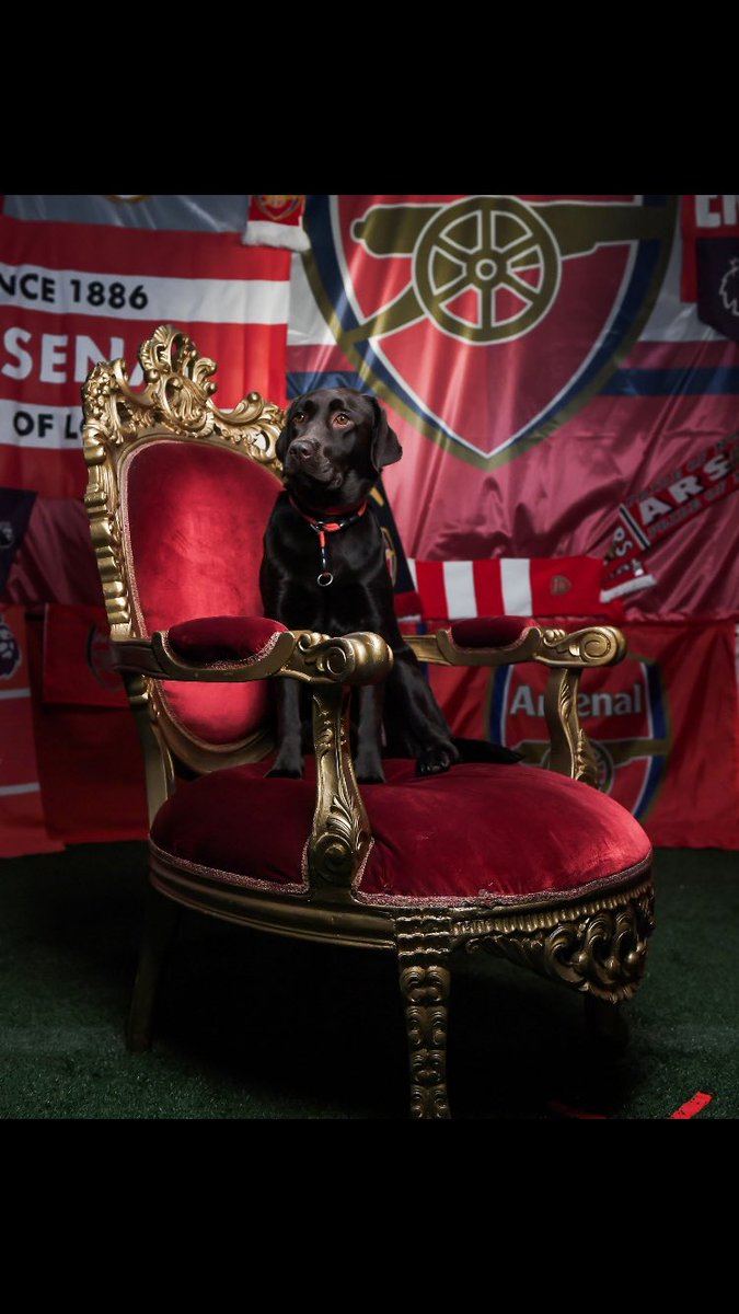 s_aron58's tweet photo. Az Arsenal kezdő jobb bekkje.🫡
#COYG #PLhu #Win https://t.co/ee46JllQBf