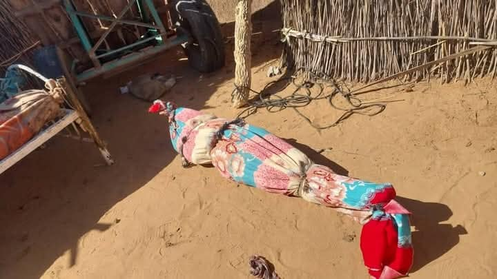 sudan_war's tweet photo. 🚨 عاجل | قصف مدفعي عنيف ظهر اليوم من قبل مليشيا الدعم السريع على معسكر زمزم للنازحين بولاية شمال دارفور تسبب في استشهاد سبعة مواطنين وإصابة آخرين.

#Sudan_War_Updates https://t.co/X9r4rxWX0X