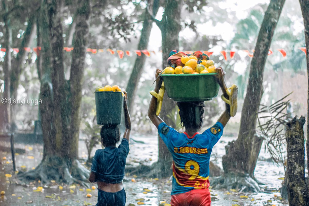 GomaFleva's tweet photo. 🔵 #RDC : Une pluie des mangues se produit de temps en temps à #Kimpese dans le territoire de Songologo non loin des cascades de #Vampa au Kongo-central en République Démocratique du #Congo . https://t.co/PVE8y8GDar