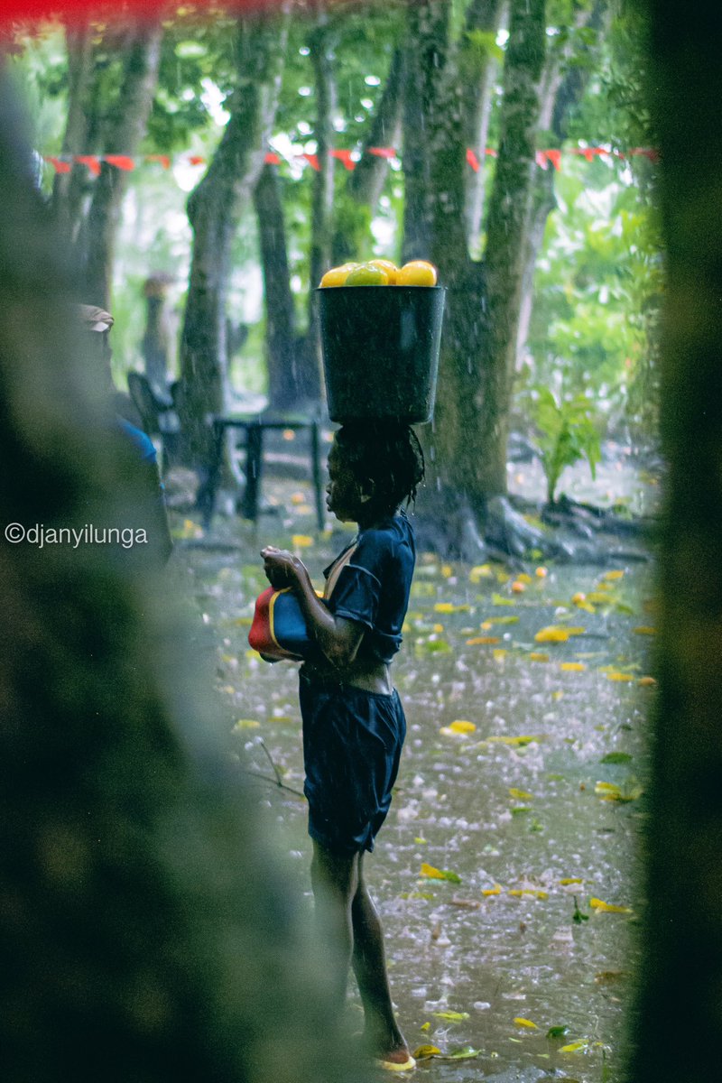 GomaFleva's tweet photo. 🔵 #RDC : Une pluie des mangues se produit de temps en temps à #Kimpese dans le territoire de Songologo non loin des cascades de #Vampa au Kongo-central en République Démocratique du #Congo . https://t.co/PVE8y8GDar