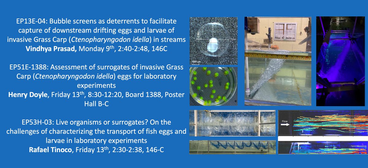 The EEL is at #AGU24.
Join us to talk about invasive fish, oyster reefs, and all things ecohydraulics.
1. Gotta catch 'em all - Fluorescent eggs, bubble barriers, and more to monitor and manage the spread of fish eggs and larvae.