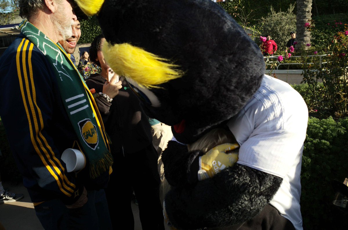 GrugalM's tweet photo. @CozmoLAGalaxy Feeling like this. https://t.co/XsuPhGUXYu