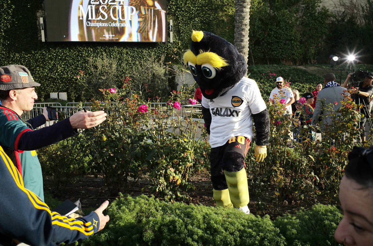 GrugalM's tweet photo. @CozmoLAGalaxy Feeling like this. https://t.co/XsuPhGUXYu