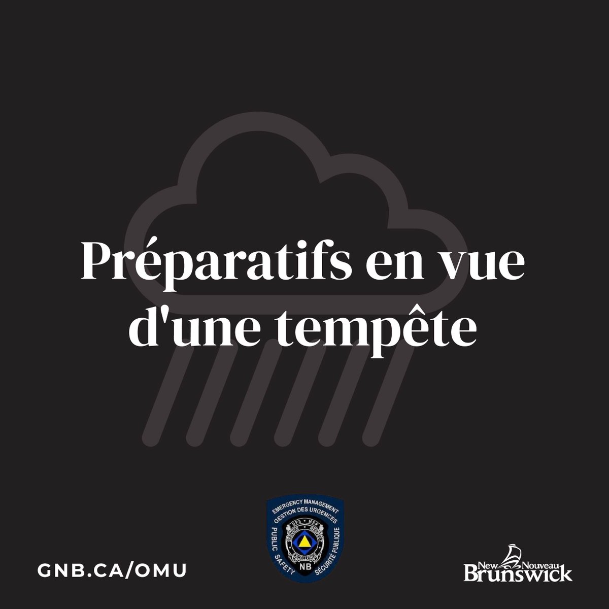 NBEMO_OMUNB's tweet photo. Des pluies abondantes, des vents forts et des températures chaudes sont prévus pour mercredi et jeudi.

Des précipitations de 25+ mm sont attendues avec des rafales de vent de 60-70 km/h, sauf plus près de la côte. De la pluie verglaçante est attendue dans le nord-ouest.

Préparez-vous à d'éventuelles pannes de courant, à des accumulations d'eau sur les routes qui pourraient rendre la conduite dangereuse et à des inondations localisées dues à la fonte des neiges et aux précipitations.

C'est le moment de tester votre génératrice, de préparer votre trousse d'urgence de 72 heures, de préparer votre propriété en attachant les objets non fixés, en nettoyant les gouttières et les égouts pluviaux et en étant conscient des risques d'inondation dans votre région. Planifiez à l'avance vos déplacements éventuels.

https://t.co/BhlIHLZIYR

https://t.co/tW5aOt0zxJ