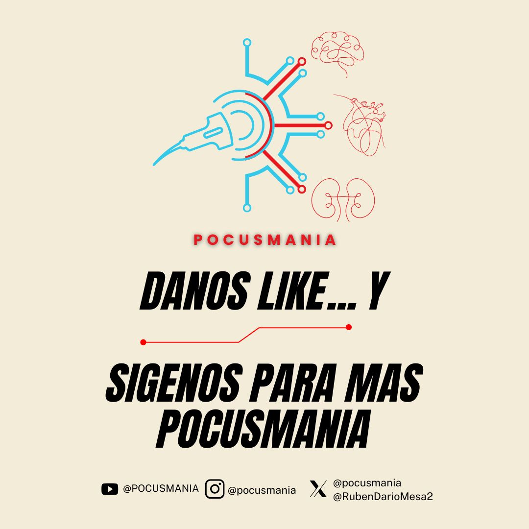 pocusmania's tweet photo. El E-FAST es esencial en emergencias: evalúa pericardio, pleura, abdomen y pulmones, detectando rápidamente hemorragias internas y neumotórax. ¡La ecografía salva vidas en el punto de atención! 🩺✨ Descubre más en #POCUSMANIA 🚑 #EFAST #Ecografía #MedicinaDeEmergencia https://t.co/8vHE94hfSH