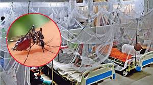 ডেঙ্গুতে ২৪ ঘণ্টায় একজনের মৃত্যু