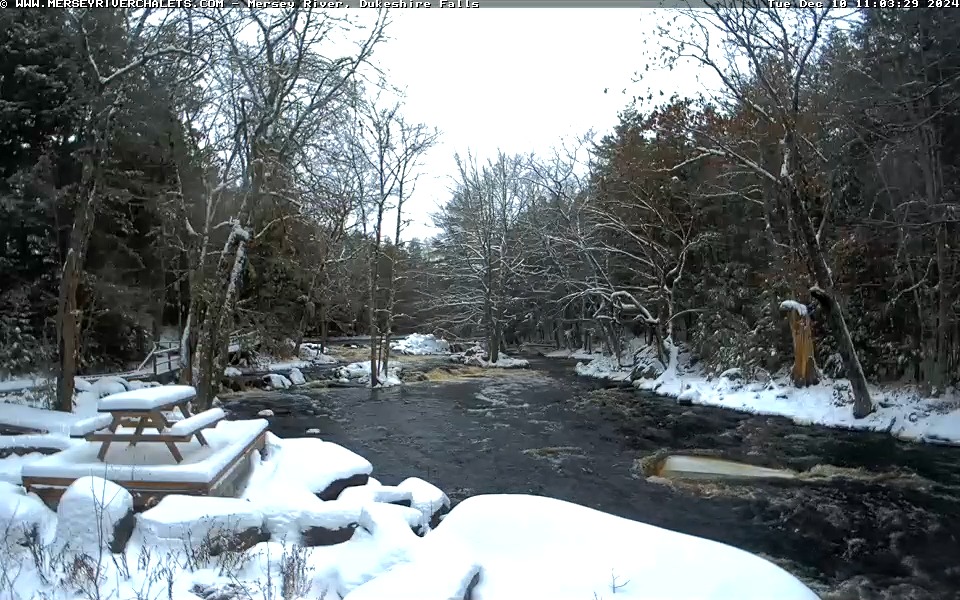 A babbling brook and a winter's scene ❄️ at Mersey River Chalets, located in the Southwest Nova UNESCO Biosphere Reserve 🌎 Visit it anytime on Nova Scotia Webcams.