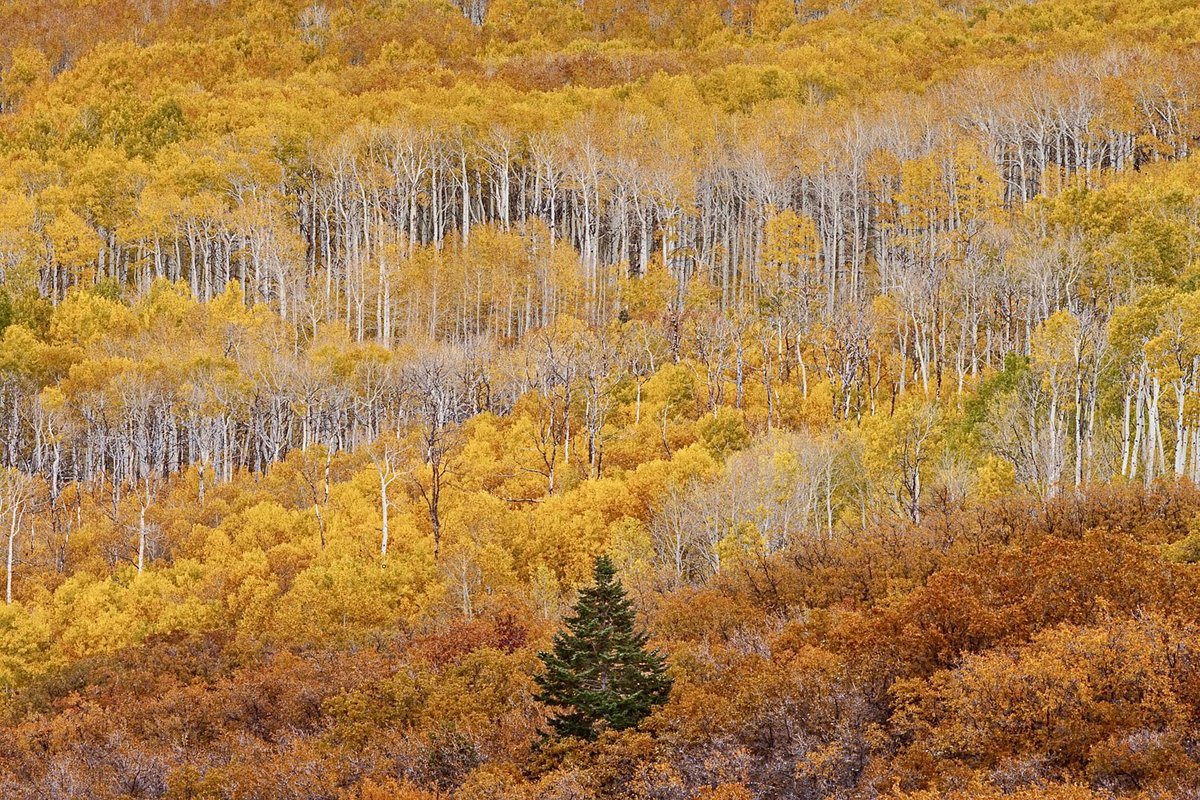 Bret Edge tweet media