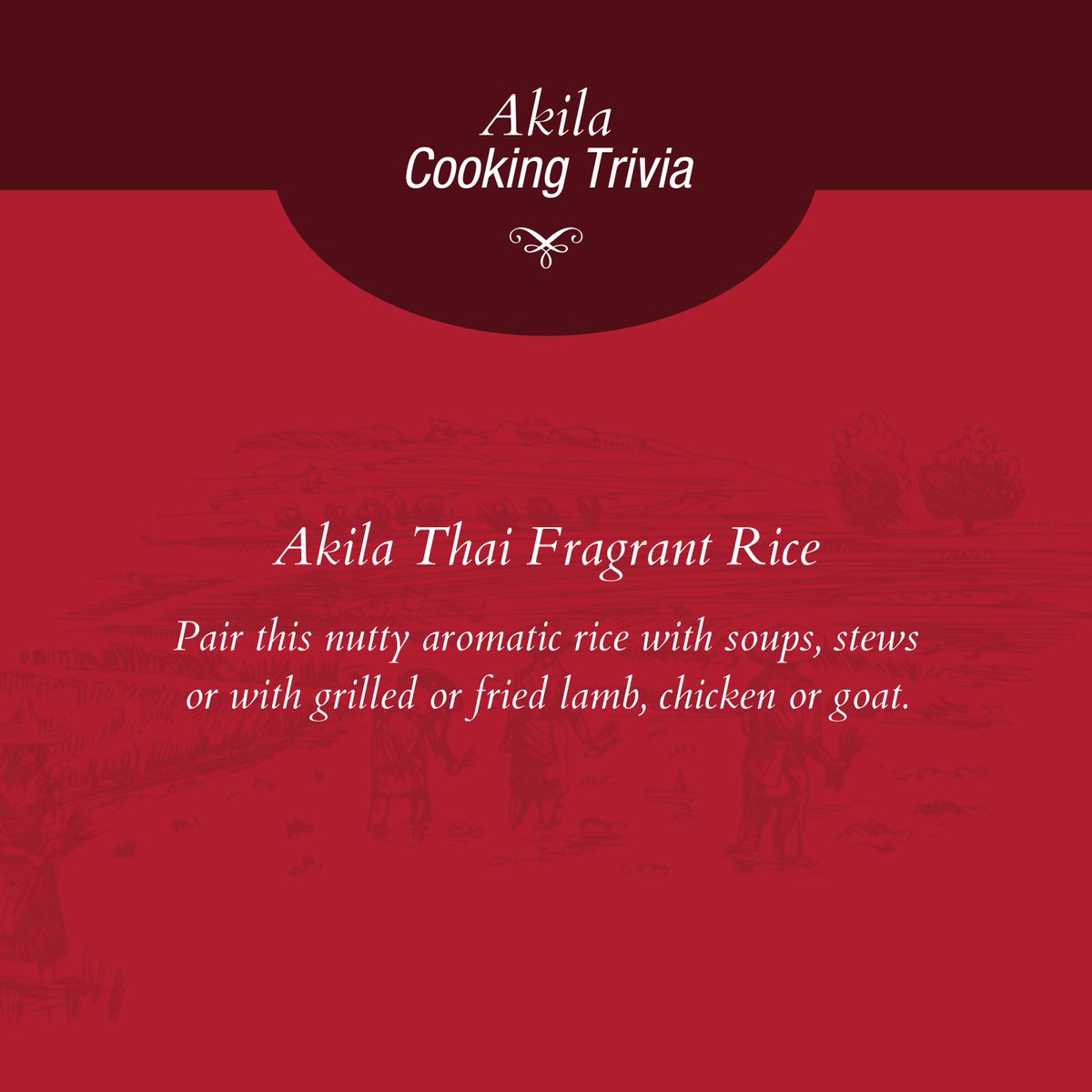 Say hello to Akila Thai Fragrant Rice! 🍚✨

Looking for the perfect rice that stays fluffy and separate after cooking? Meet your new kitchen essential! 

#AkilaFoods #AkilaMoments #AkilaSA #AkilaFoodsSA #FoodieLove #FamilyFavourites