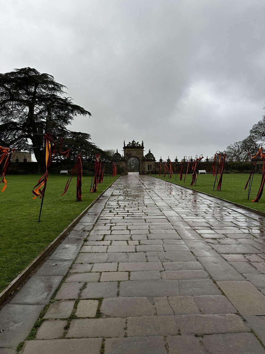 Buttershaw BEC tweet media