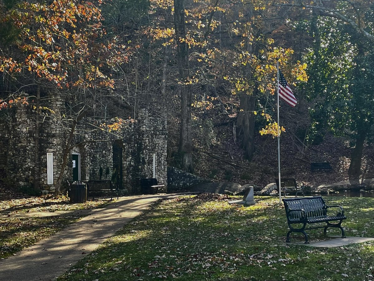 All the Biscuits in Georgia tweet media