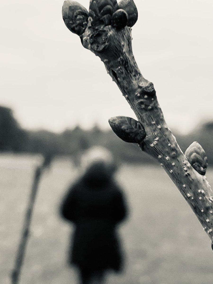 Art Branches tweet media