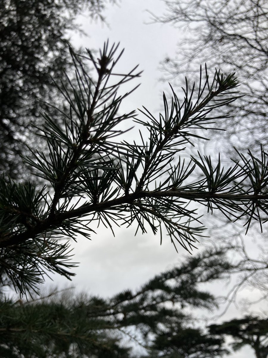 Great turn out today for winter photography walk ⁦<a href="/NSFTtweets/">NSFT mental health</a>⁩ ⁦<a href="/SNEEICB_WS/">NHS SNEE ICB - west Suffolk</a>⁩ ⁦<a href="/WestSuffolkNHS/">West Suffolk NHS FT 🏳️‍🌈</a>⁩