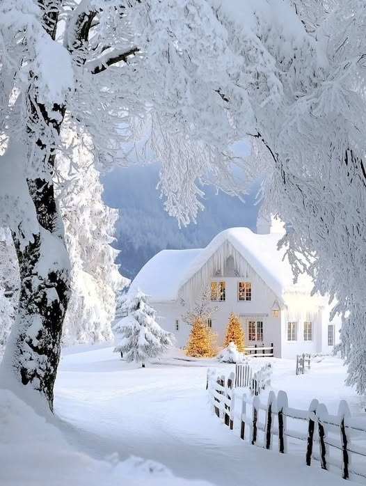 🌲Norway Pine 🇳🇴🐇 (@norway_pine) on Twitter photo 