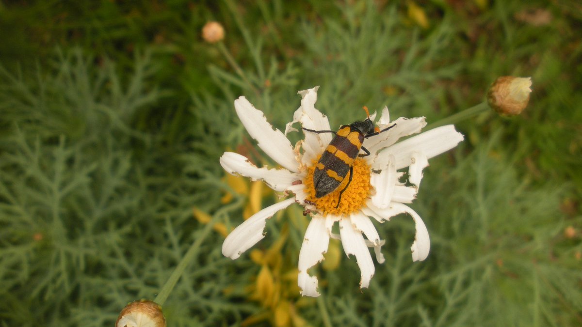 I don't know when i took this, but i remember where.