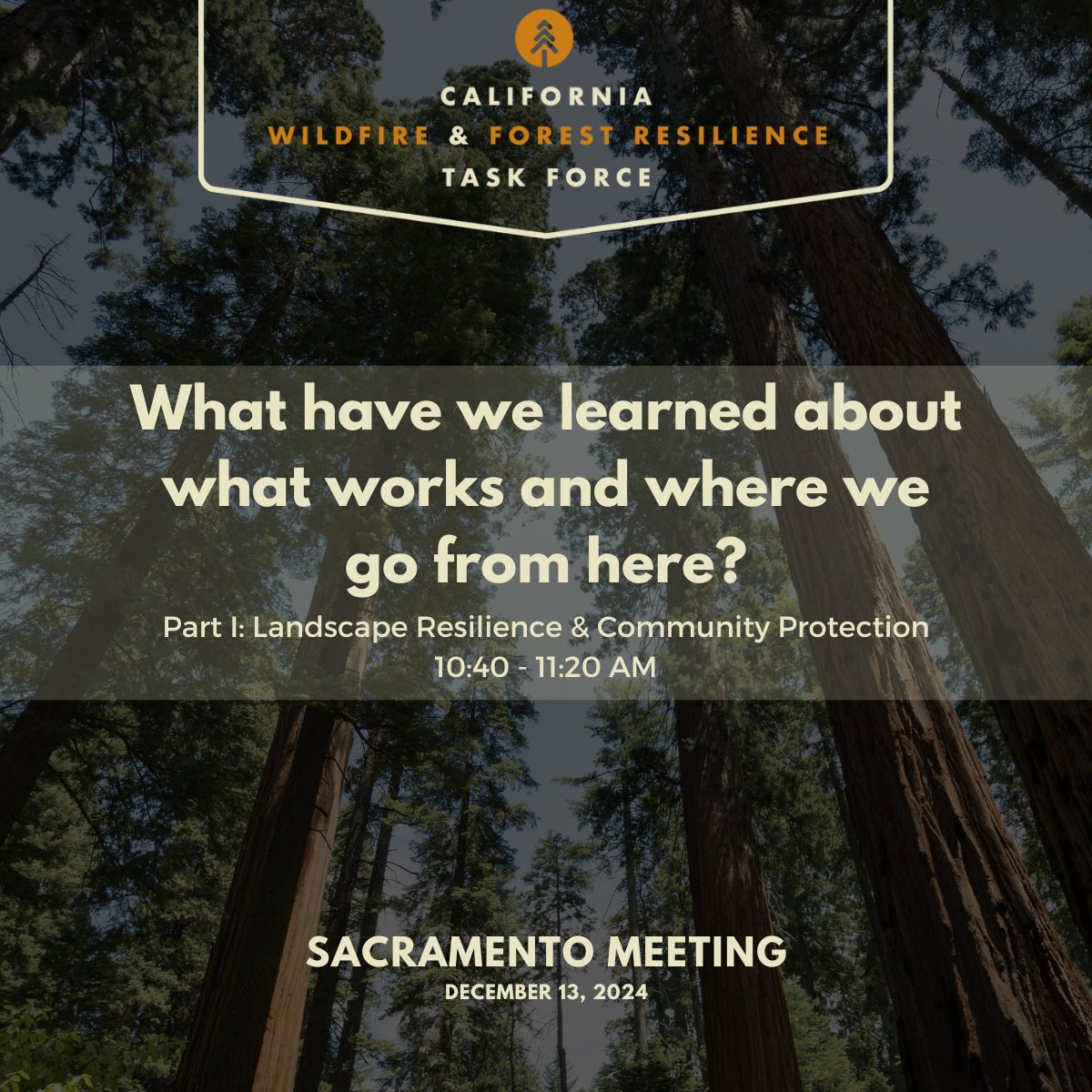 CAwildfireTF's tweet image. Is California taking the right path to address our wildfire crisis? We&apos;ve asked top scientists to share their findings to guide us. Landscape Resilience &amp;amp; Community Protection panel Friday. #WildfireTaskForce meeting: bit.ly/TF-Mtg-Synth-S… #TaskForceProgress #ResilientForests