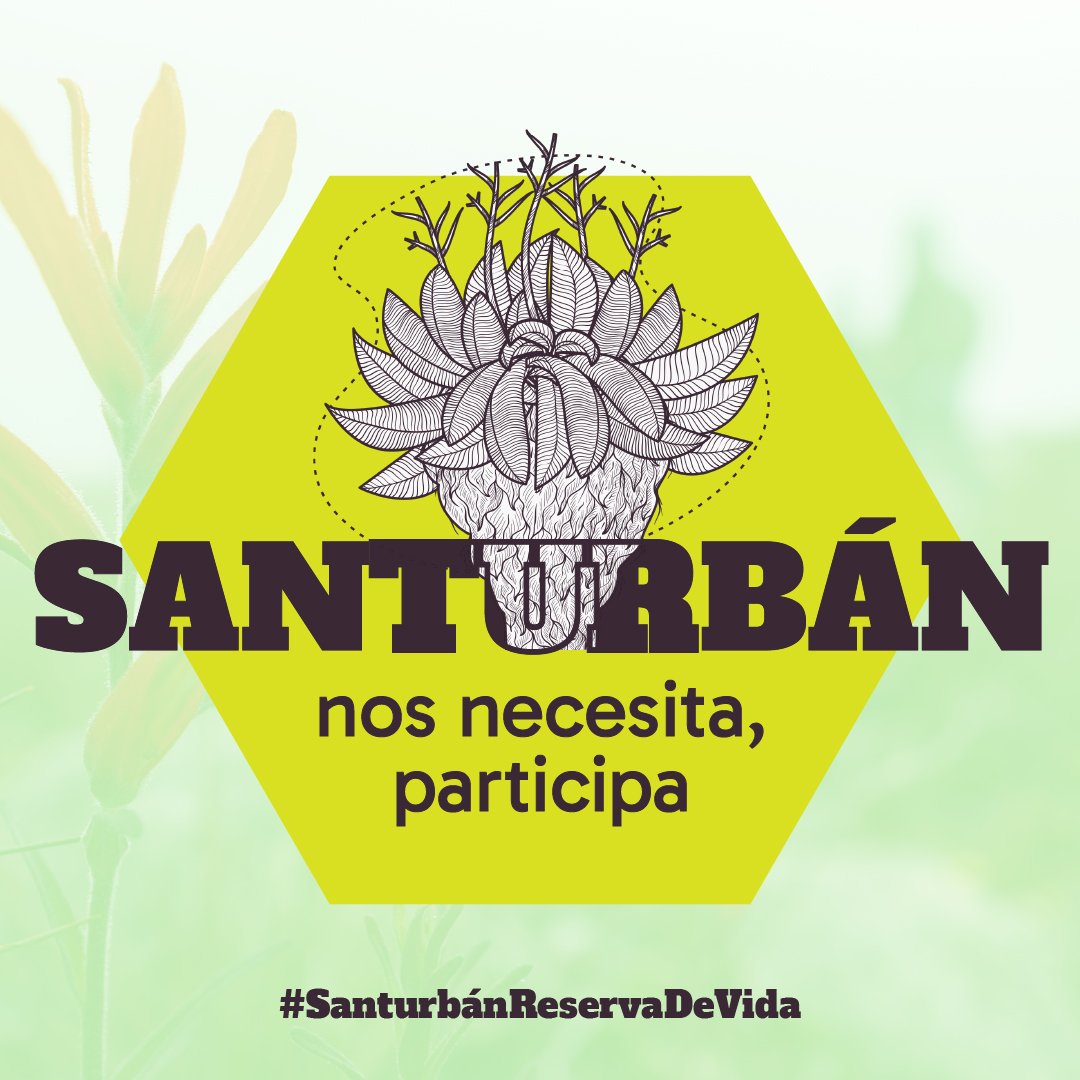 ComiteSanturban's tweet photo. ¿Que las áreas de reserva afectan las actividades agropecuarias en Santurbán?

Naa. no coma cuento, tome agua 💧 

Sólo afecta los interés transnacional que han querido explotar Santurbán 

Participa del proceso de consulta: https://t.co/5IXo2MspyG

#SanturbánReservaDeVida https://t.co/q6oilvvF56