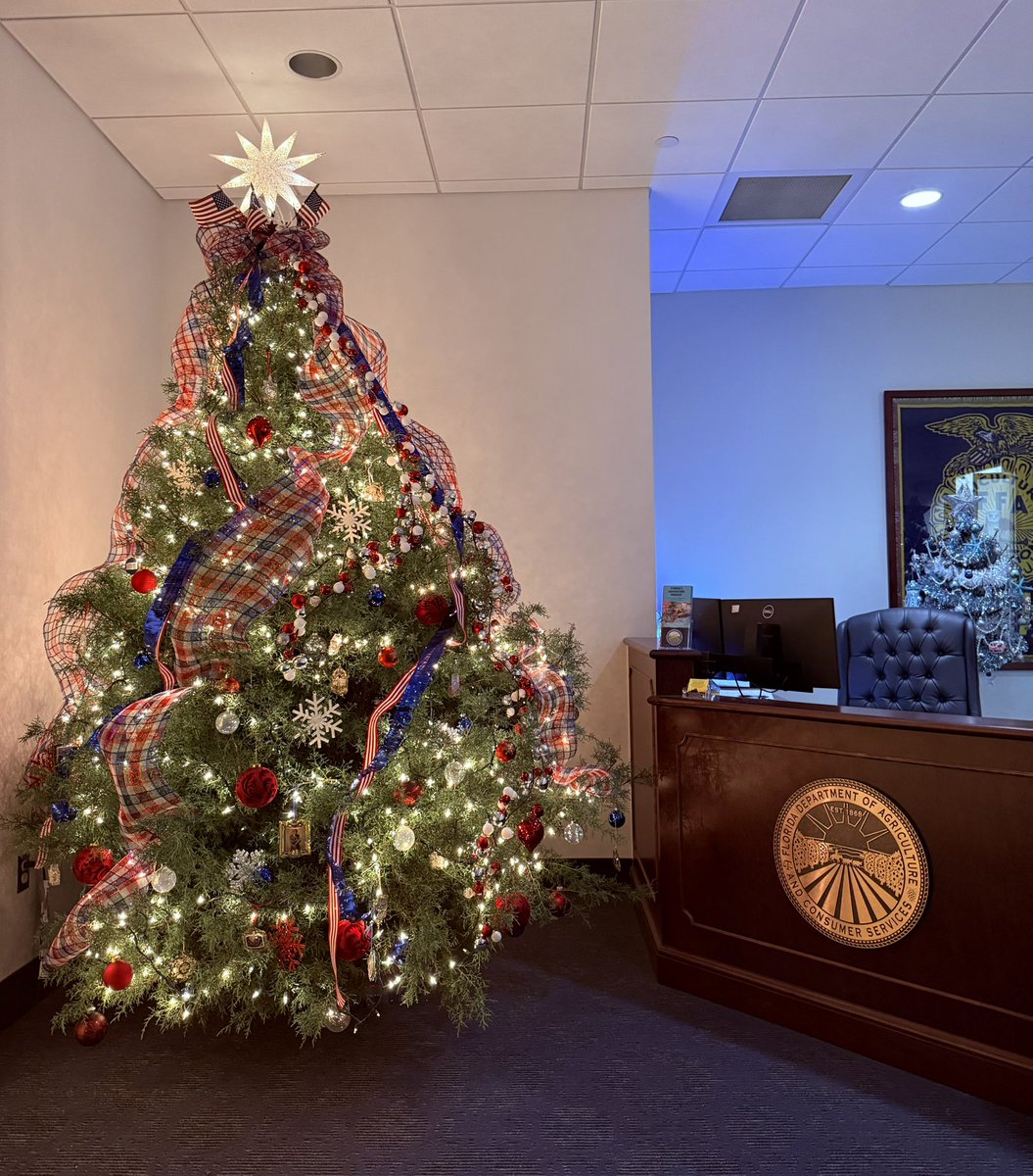 FDACS's tweet photo. Fresh From Florida Christmas trees have arrived at the Florida Capitol!🎄

Agriculture Commissioner Wilton Simpson presented the Florida-grown trees and is asking Floridians to support FL growers, many of whom were impacted by recent hurricanes.

More: https://t.co/o2fNHh5GCv https://t.co/D6hzO9vYAG