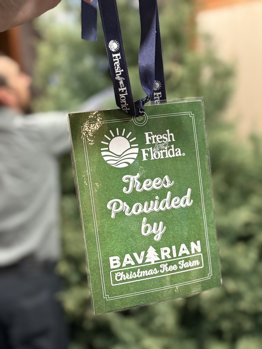 Fresh From Florida Christmas trees have arrived at the Florida Capitol!🎄

Agriculture Commissioner Wilton Simpson presented the Florida-grown trees and is asking Floridians to support FL growers, many of whom were impacted by recent hurricanes.

More: tinyurl.com/33vdj3rh