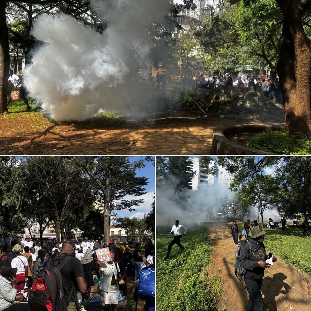 Those who love peace must learn how to organize as effectively as those who love war........
           ~~~~MARTIN LUTHER KING .JR
#EndFemicideKE
#EndFemicide
#EndFemicideKEConvening 
<a href="/GBVcommittee/">SOCIAL JUSTICE CENTERS GBV Committee.</a> 
<a href="/SJwomenleague/">SOCIAL JUSTICE WOMEN'S LEAGUE, NAIROBI</a> 
<a href="/UhaiWetu/">Social Justice Centres Working Group</a> 
<a href="/WomenHRDs/">Women in Social Justice Centers</a> 
<a href="/wateulecenter/">WATEULE HAKI CENTER</a> 
<a href="/WanguKanjaF/">Wangu Kanja Foundation</a>