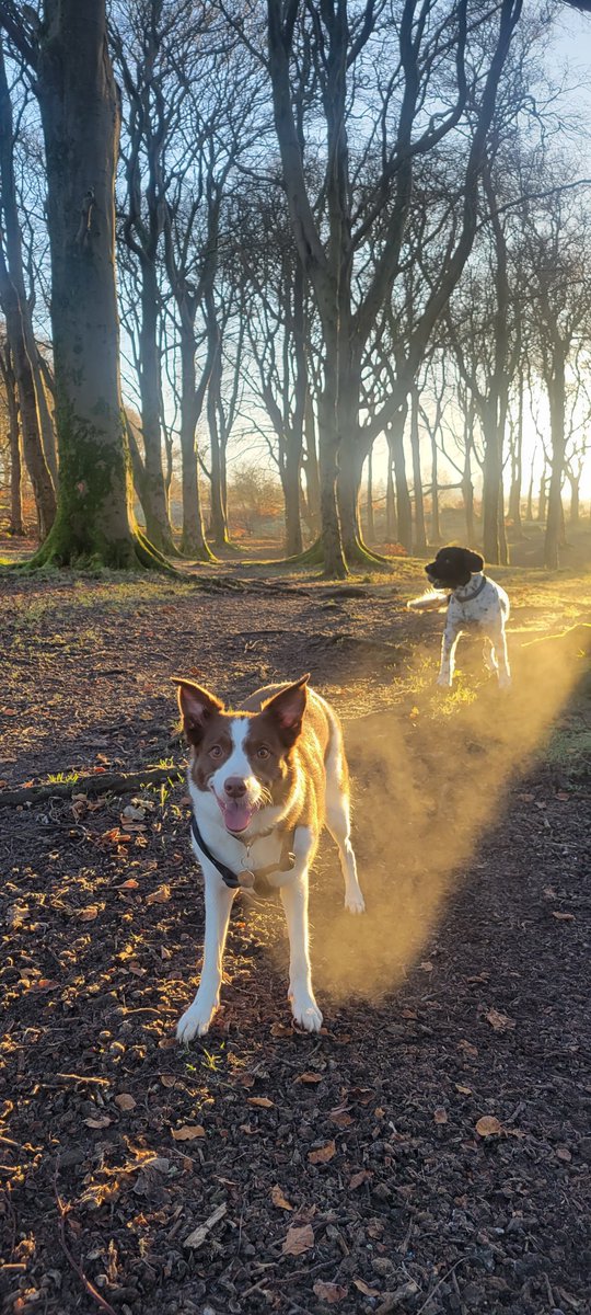 Carter Ferguson ⚔ 🏴󠁧󠁢󠁳󠁣󠁴󠁿 #FightDirector tweet media