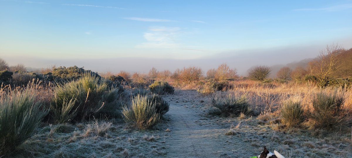 Carter Ferguson ⚔ 🏴󠁧󠁢󠁳󠁣󠁴󠁿 #FightDirector tweet media