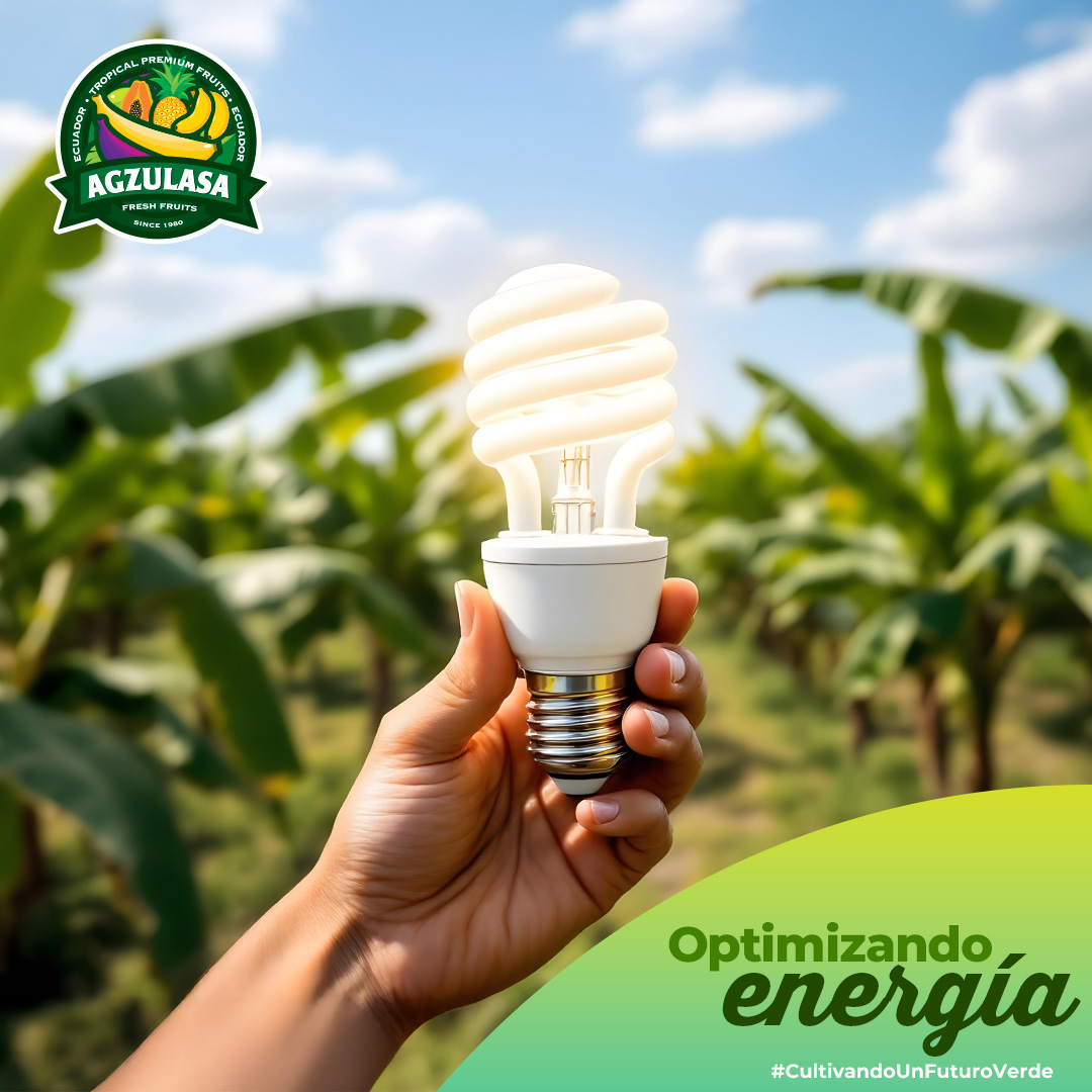 En Agzulasa, cada detalle importa. Implementamos mejoras en nuestras instalaciones para reducir el consumo energético y aportar a un futuro más sostenible.

🌱 Cada cambio suma para enfrentar la crisis energética de forma responsable.

#EnergíaEficiente #Sostenibilidad